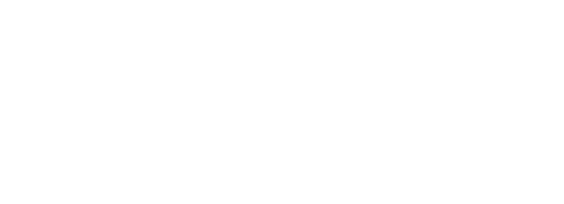 Volterra Name Alone white volterra logo